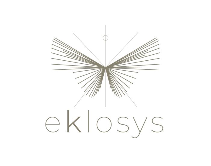 logo_final_fond_transparent2